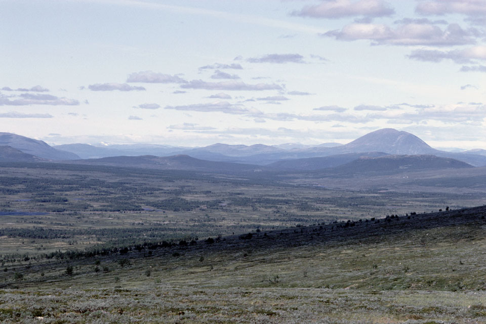 Fjeldvandring i Norge 1982