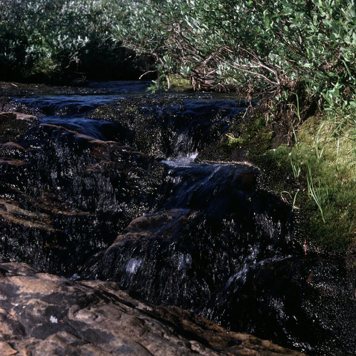 Fjeldvandring i Norge 1982