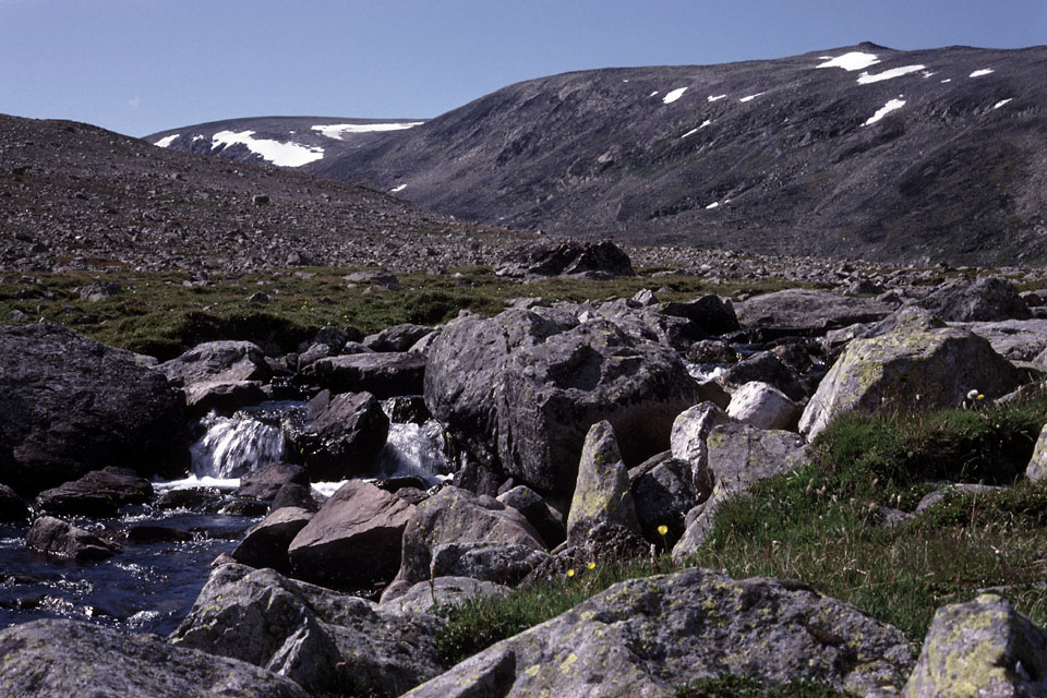 Fjeldvandring i Norge 1982