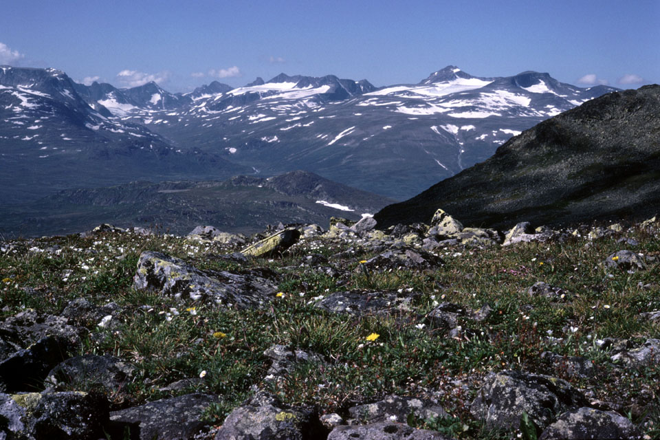 Fjeldvandring i Norge 1982