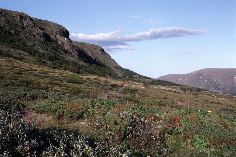 Fjeldvandring i Norge 1982