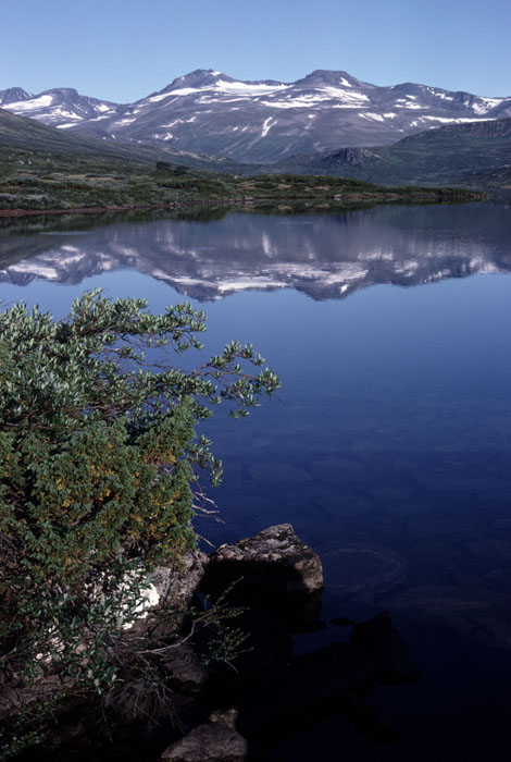 Fjeldvandring i Norge 1982