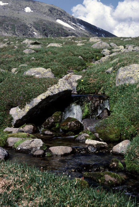 Fjeldvandring i Norge 1982