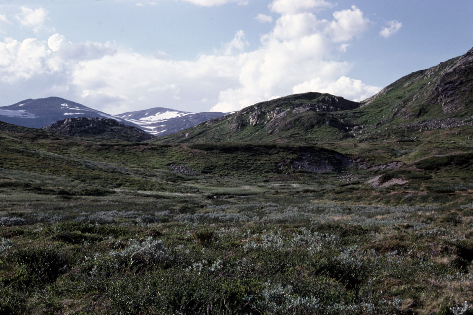 Fjeldvandring i Norge 1982