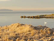 Gryteskär