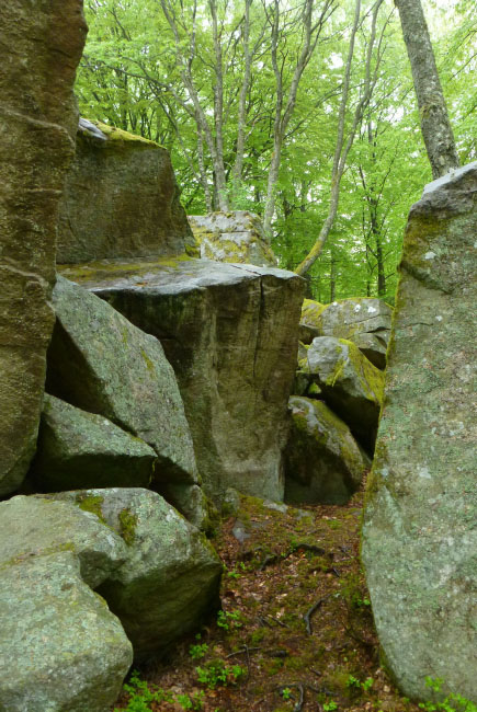 Hallandsåsen maj 2014