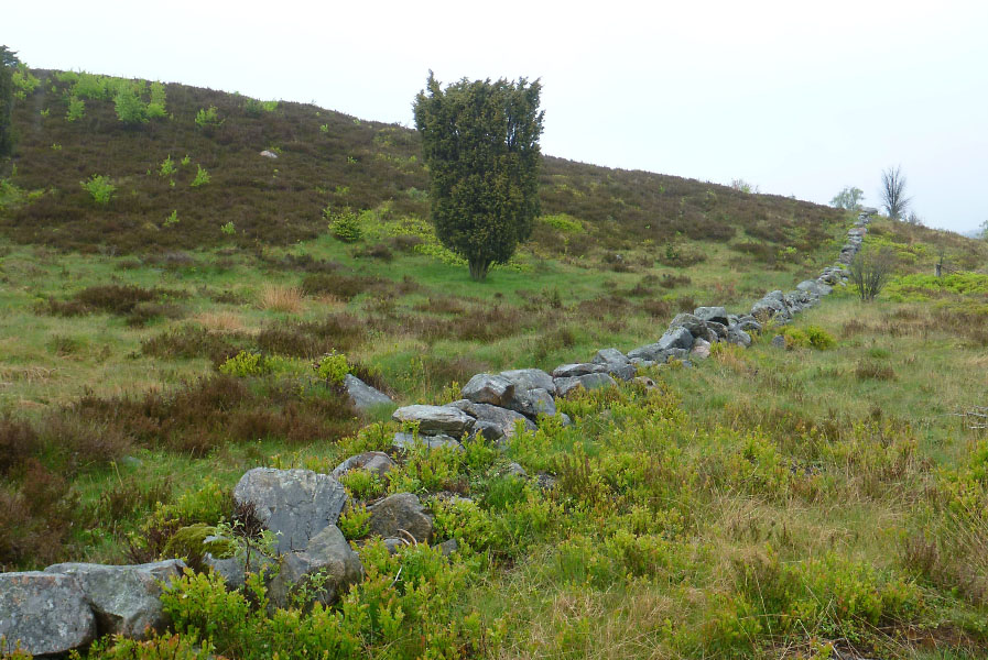 Hallandsåsen maj 2014