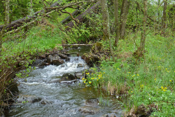 Hallandsåsen maj 2014