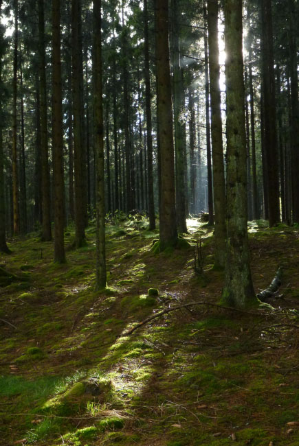 Hallandsåsen maj 2014