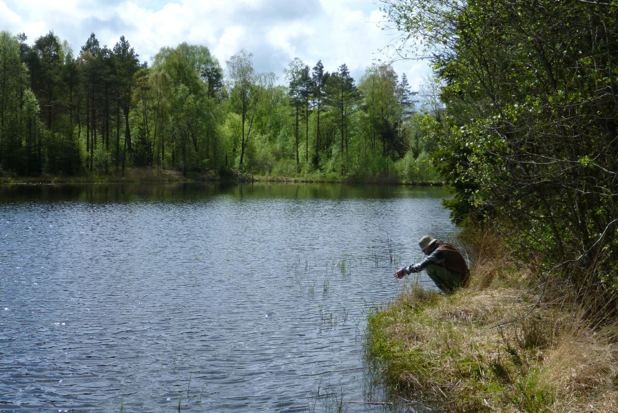 Hallandsåsen maj 2014