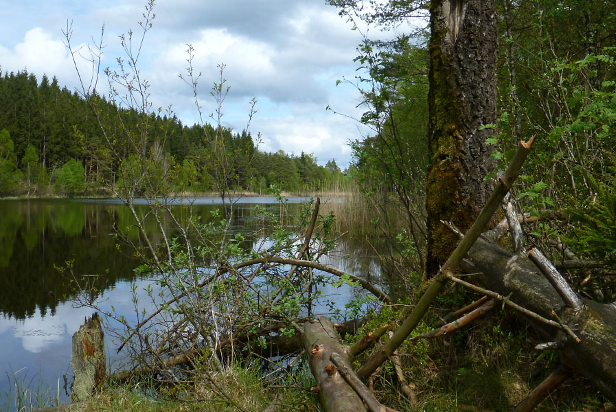 Hallandsåsen maj 2014