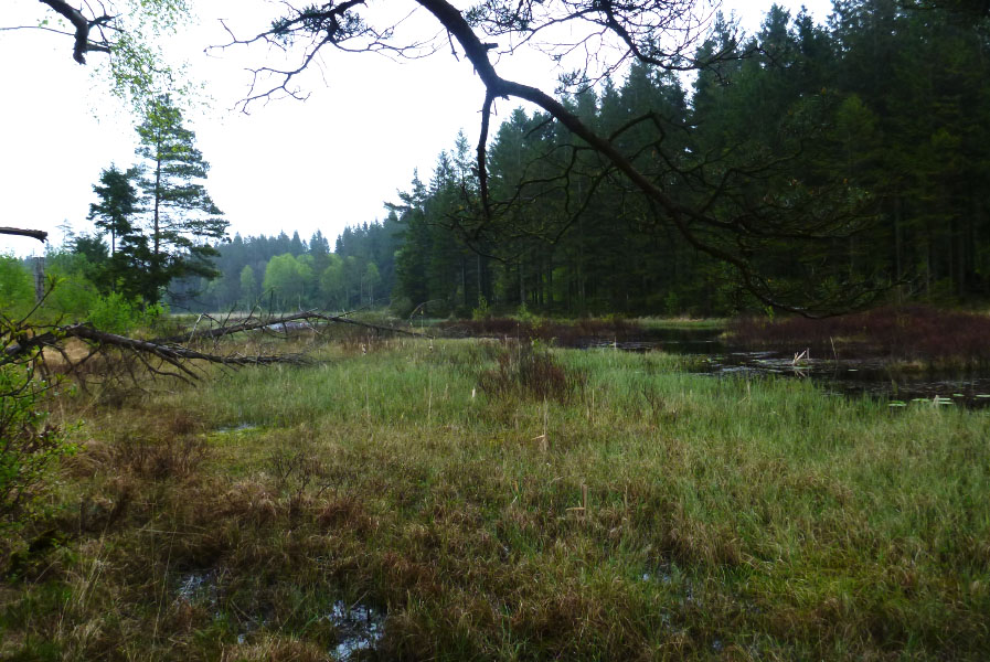 Hallandsåsen maj 2014