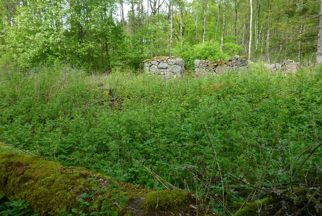 Hallandsåsen maj 2014