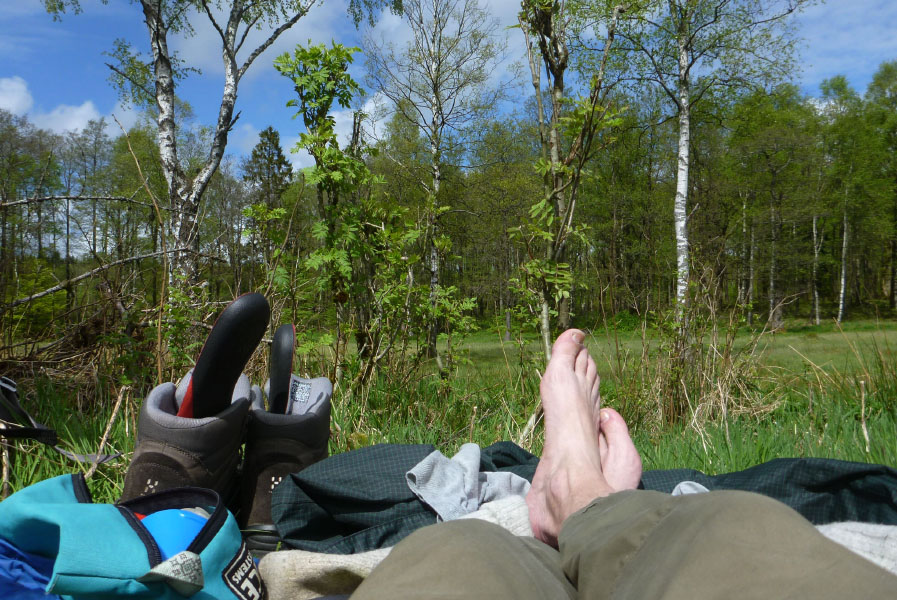 Hallandsåsen maj 2014