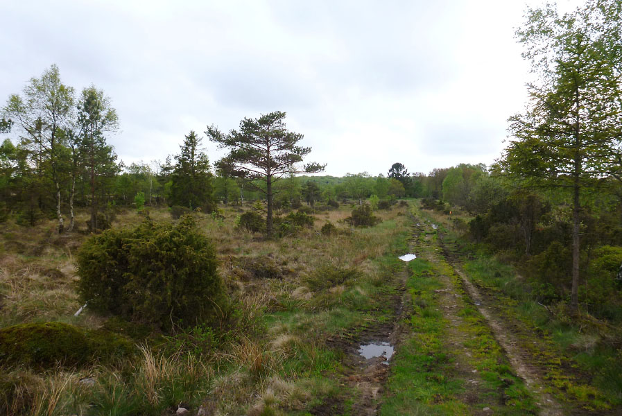 Hallandsåsen maj 2014