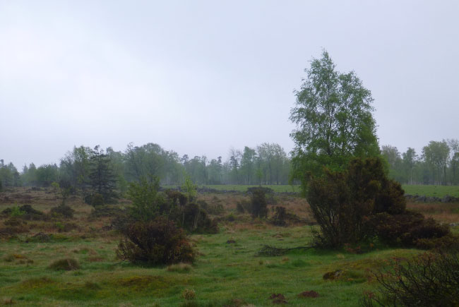 Hallandsåsen maj 2014