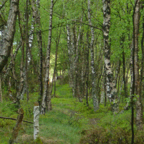 Hallandsåsen maj 2014