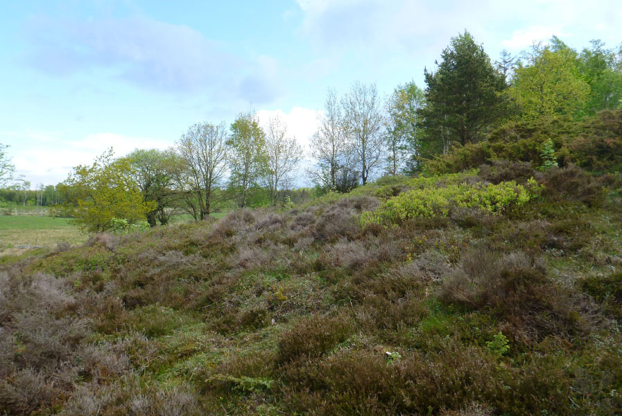 Hallandsåsen maj 2014