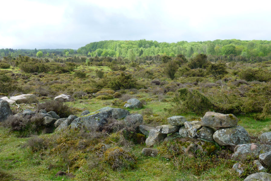 Hallandsåsen maj 2014