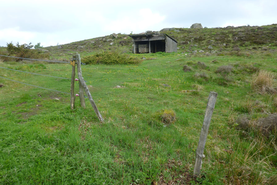 Hallandsåsen maj 2014