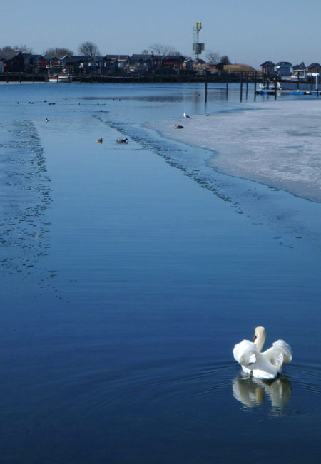 Klagshamn
