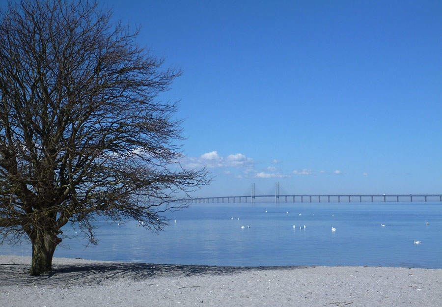 Klagshamn