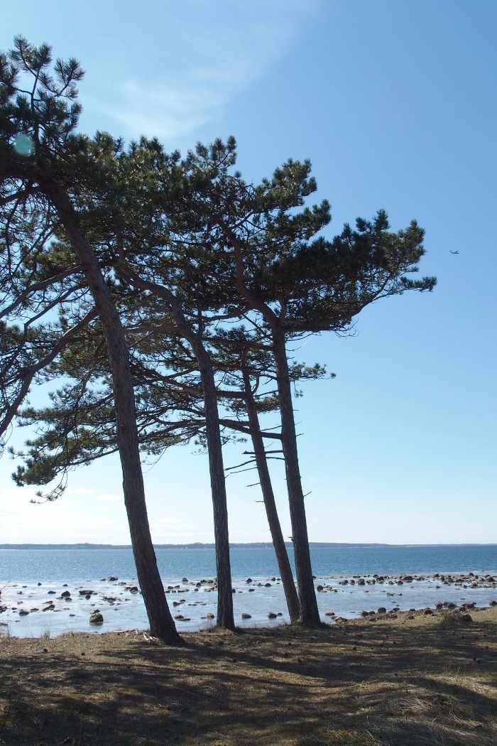 Kullaleden