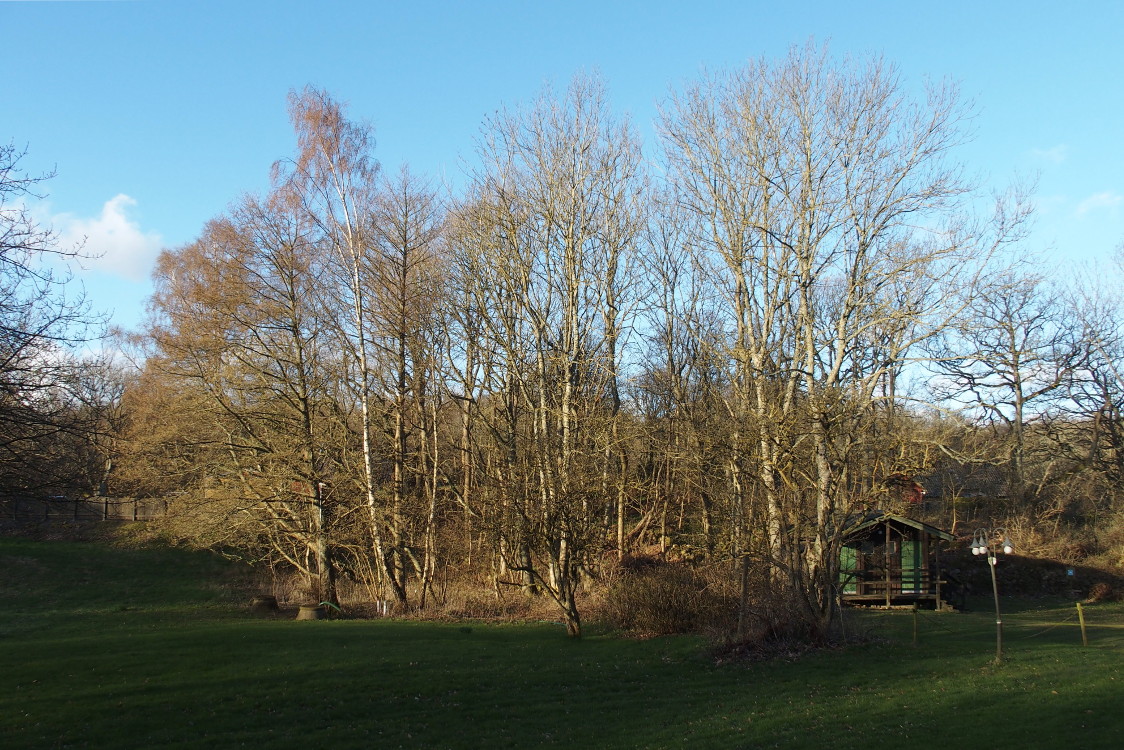 Kullaleden