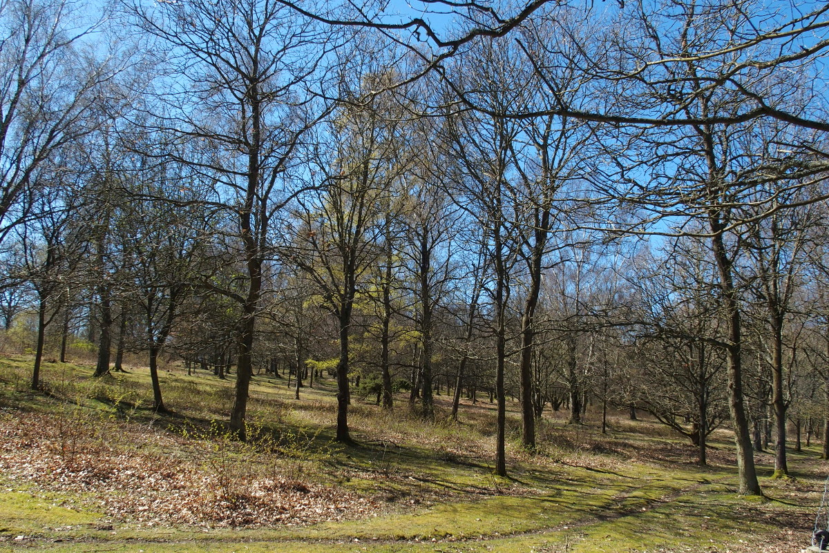 Kullaleden