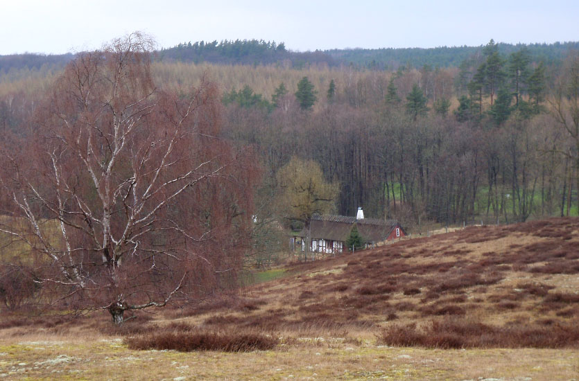 Österlenleden