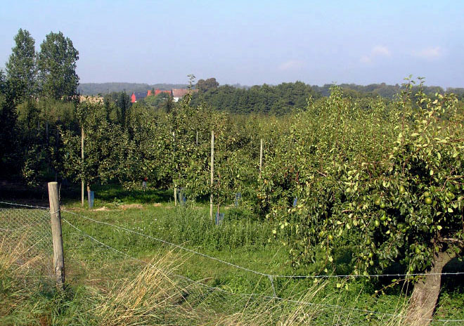 Mandelmanns Trädgårdar, Djupadal, Österlen, Sverige