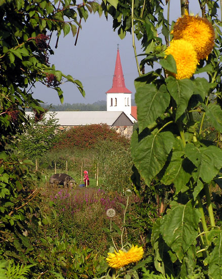 Mandelmanns Trädgårdar, Djupadal, Österlen, Sverige