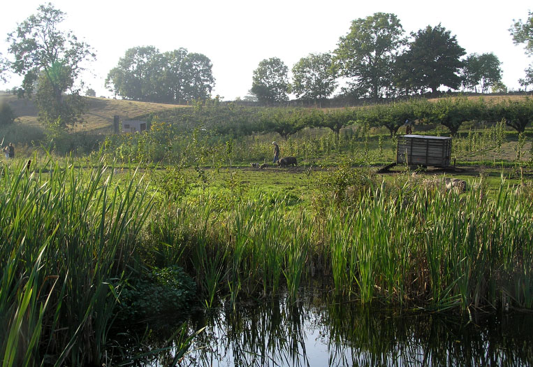 Mandelmanns Trädgårdar, Djupadal, Österlen, Sverige