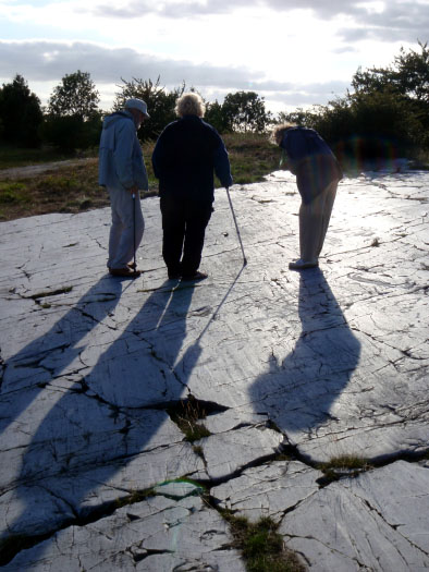 Österlen, Sverige