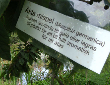 Österlen, Sverige