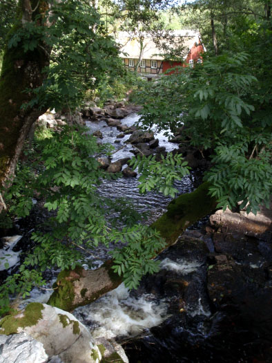 Österlen, Sverige