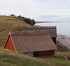 65