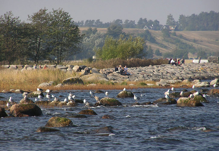Kivik-Vitemölla, Österlen, Sverige