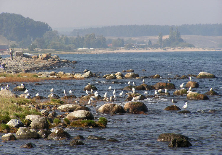 Kivik-Vitemölla, Österlen, Sverige