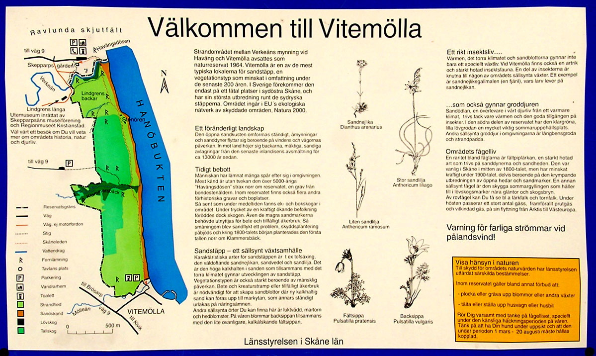 Kivik-Vitemölla, Österlen, Sverige