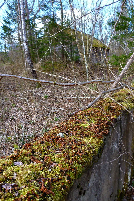 Skåneleden april 2015