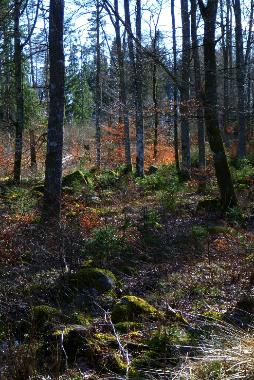 Skåneleden april 2015