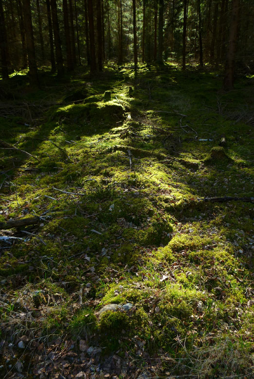 Skåneleden april 2015