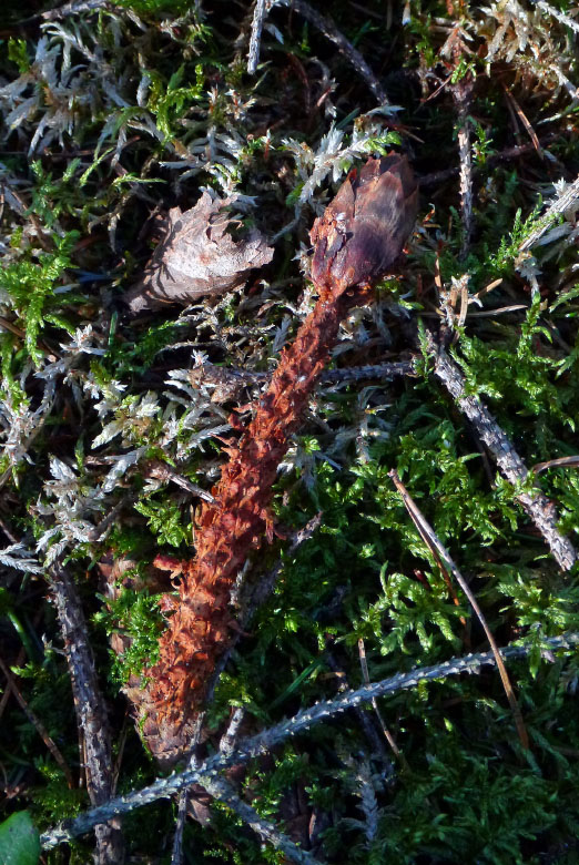 Skåneleden april 2015