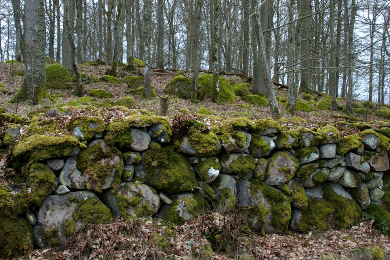 Skåneleden april 2015