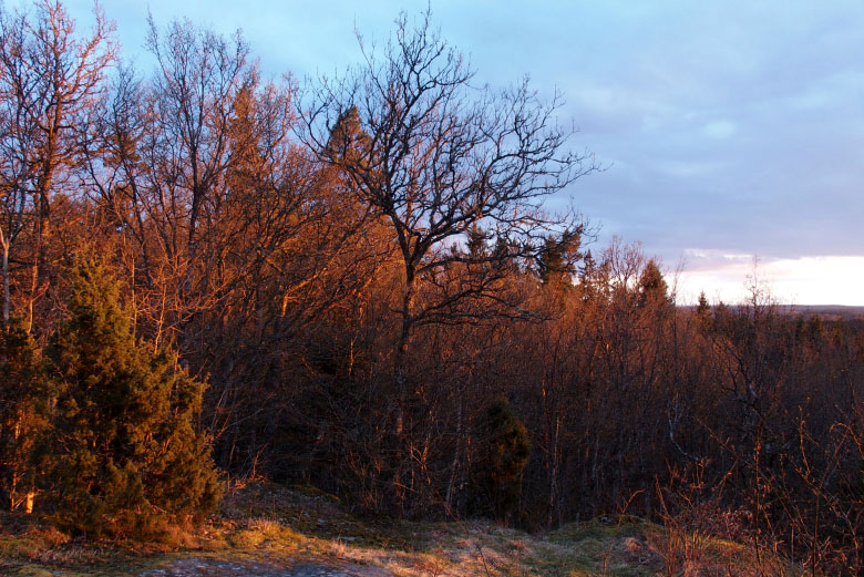 Skåneleden april 2015