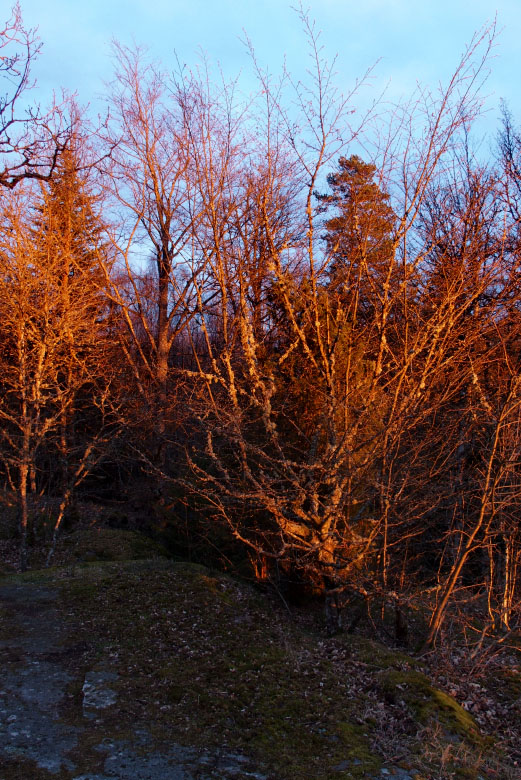 Skåneleden april 2015