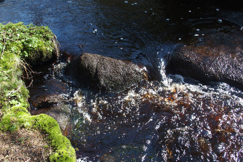 Skåneleden april 2015