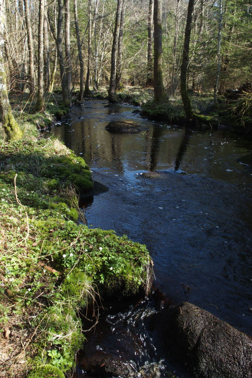 Skåneleden april 2015