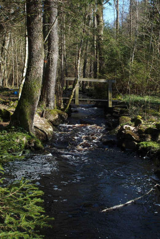 Skåneleden april 2015